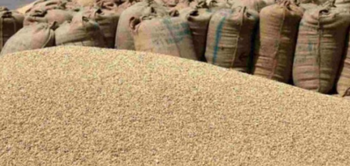 Jowar purchase fraud Akola