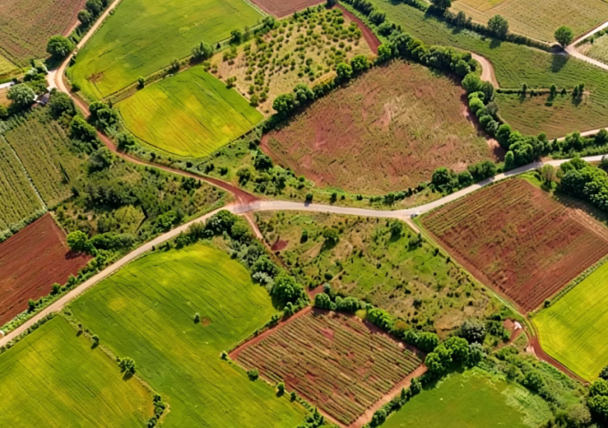 Can You Sell 1-2 Gunthas Now? Regularization Process Starts!