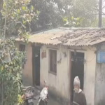 Sedative Spray Gang Strikes Kolhapur Highway Home – Gold, Cash Vanished!