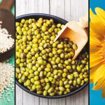 Free Seed Lottery for Farmers! Is Your District in Top 13?