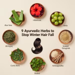 aloe vera to amla hibiscus