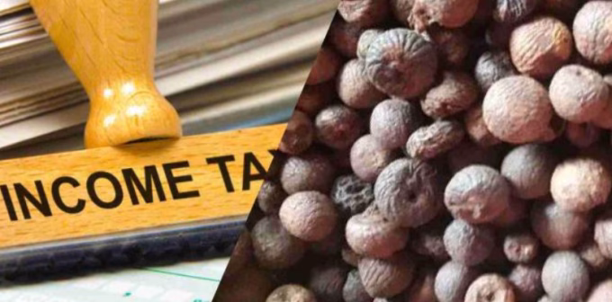 Dried Betel Nut Black Market in Nagpur