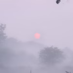 Nagpur cold wave, Gondia temperature 8.2°C