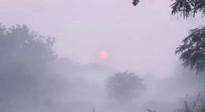 Nagpur cold wave, Gondia temperature 8.2°C