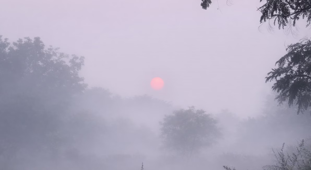 Nagpur cold wave, Gondia temperature 8.2°C