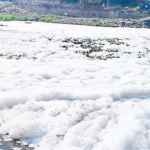 Indrayani river pollution Alandi